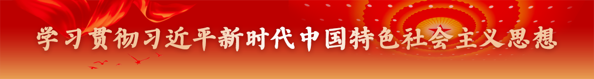 学习贯彻习近平新时代中国特色社会主义思想